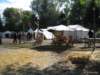 hayner_burgfest09083_small.jpg