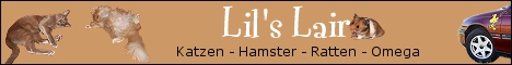 Banner Lils Lair