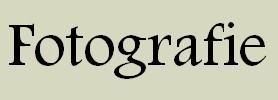 Banner: Fotografie