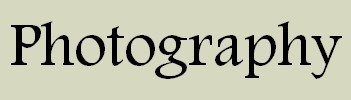 Banner: Photography